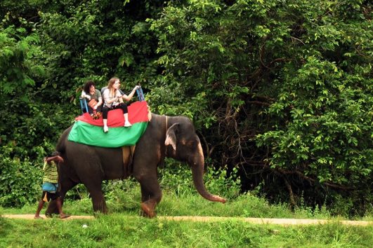 Srilanka Tour